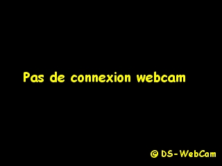 Pas de connexion webcam